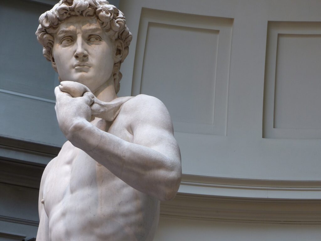 In the picture the upper part of the David of Michelangelo sculpture